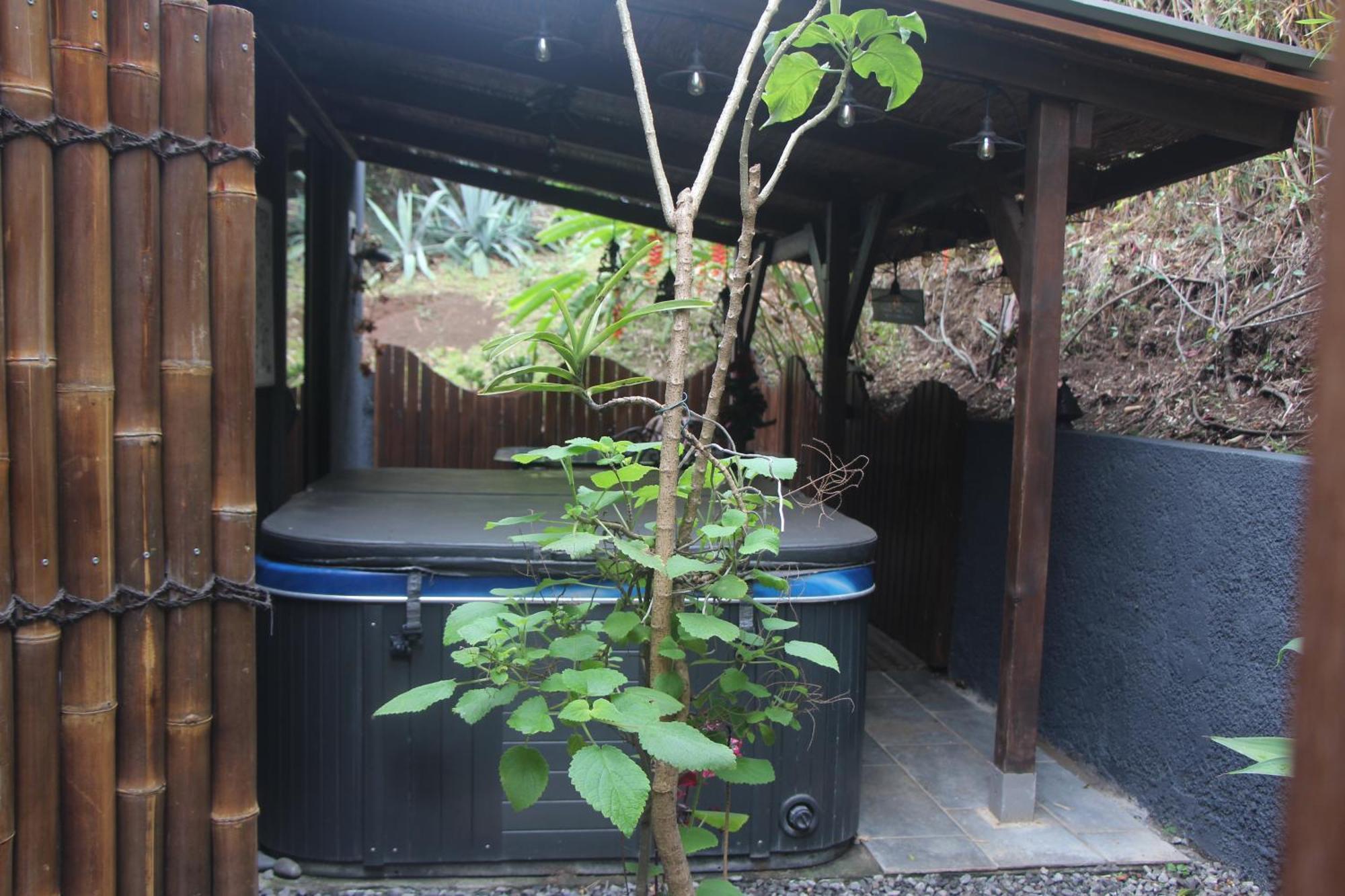La Liane De Jade 974-Lodge Le Palissandre - Jacuzzi Privatif - Piscine Chauffee Le Bois de Nefles  Екстериор снимка
